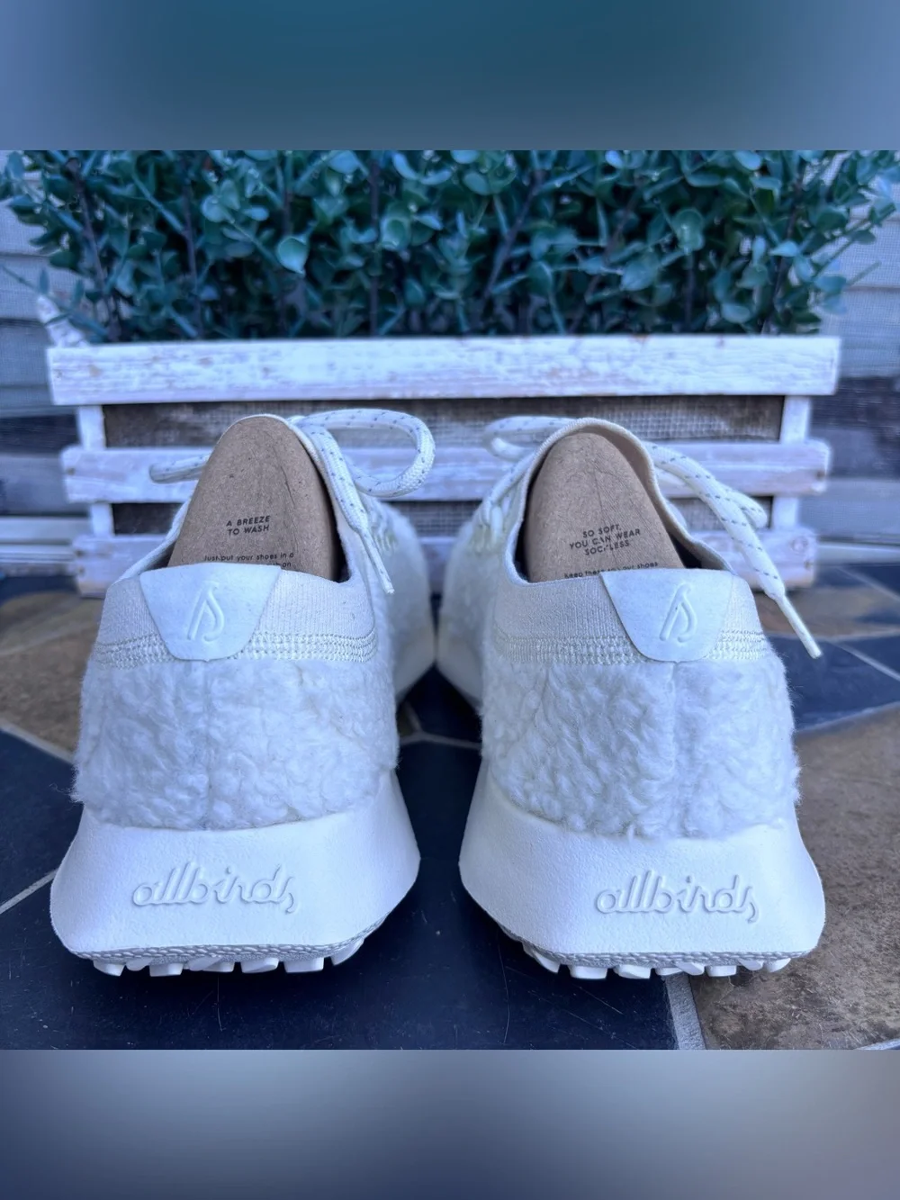Allbirds Wool Dasher Fluff Sneakers